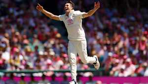 展现了可观 展现了可观